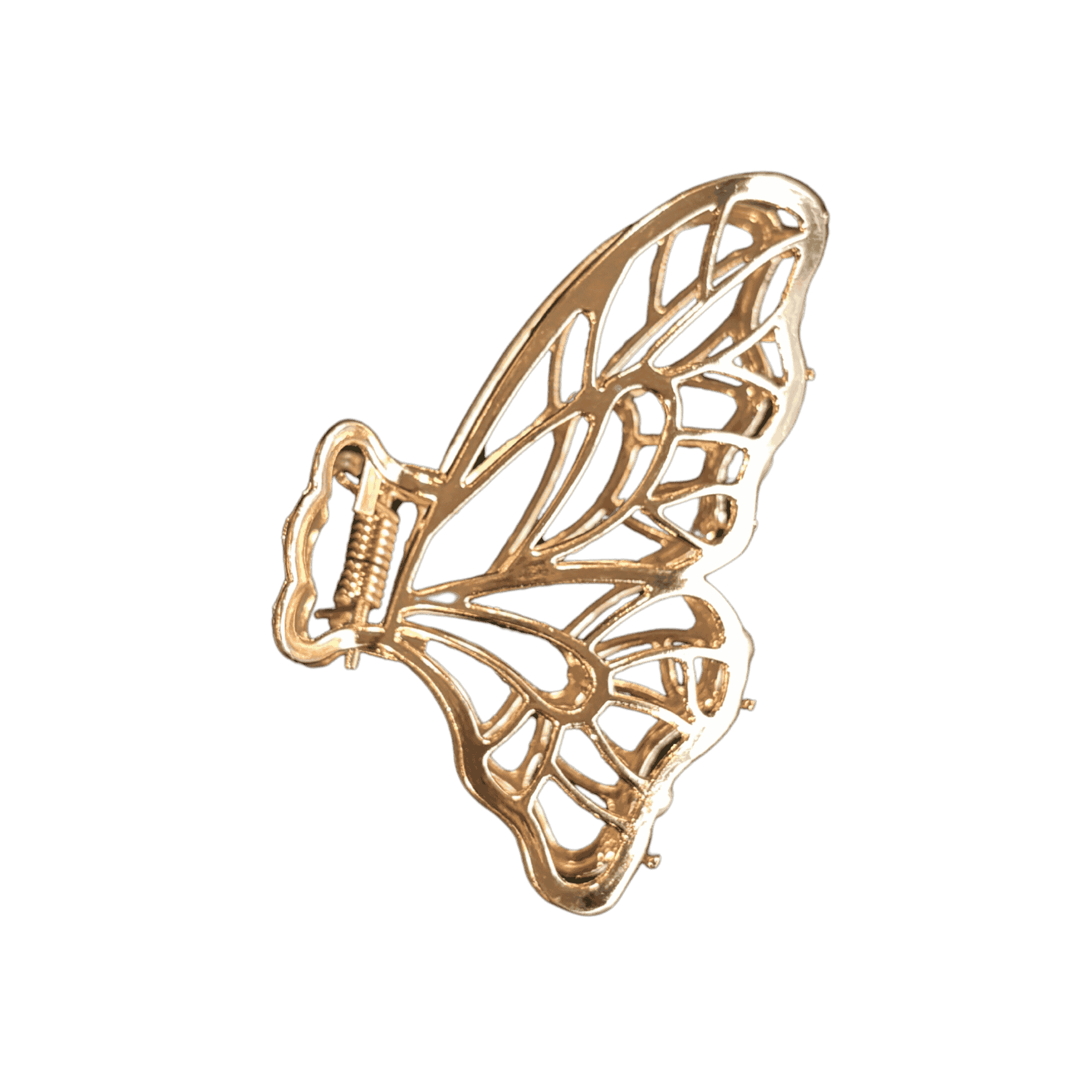 Hárklemma - Detailed fiðrildi